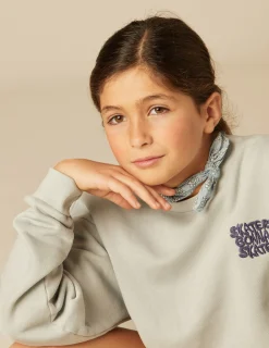 Fashion NÍCOLI SUDADERA SKATE GRIS Grisesclaros